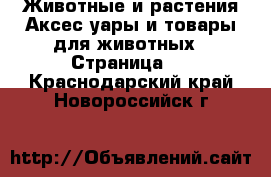 Животные и растения Аксесcуары и товары для животных - Страница 3 . Краснодарский край,Новороссийск г.
